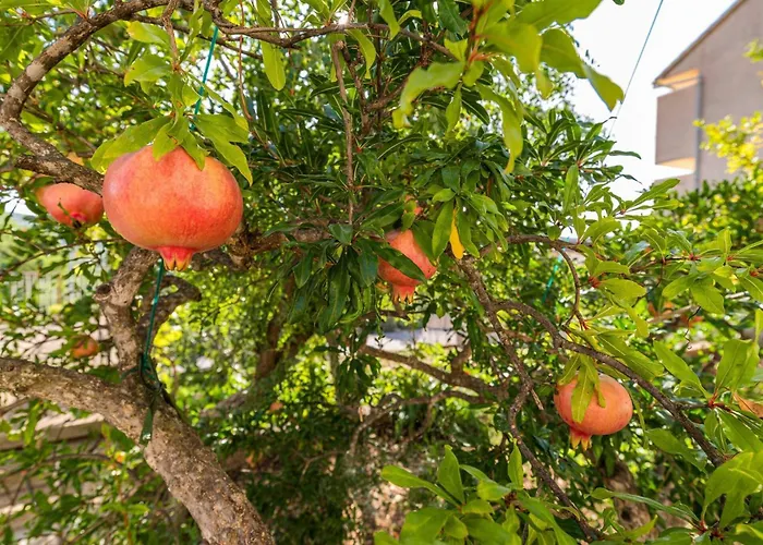 Sekula דירה שיבניק